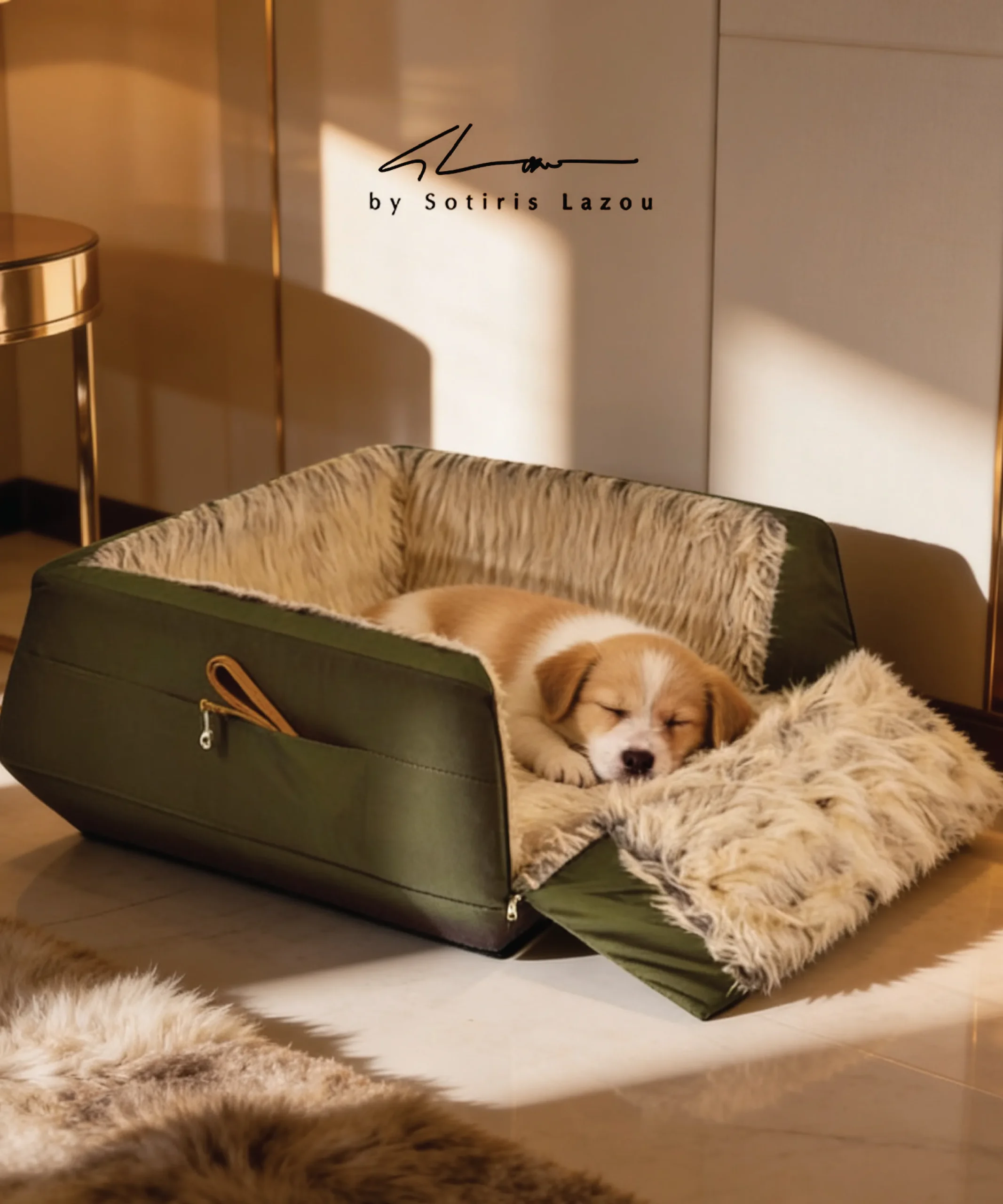 pet box with fur by Sotiris Lazou - Image 3